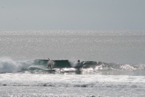 surfer drop in wave surfing surf wellenreiten