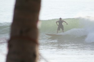 surfer panama