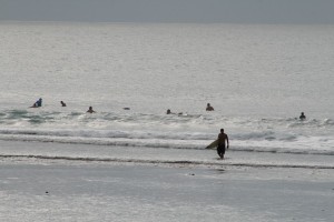 the lonely surfer