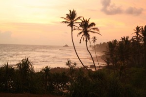 Surfen in Sri Lanka